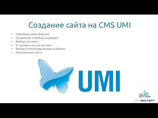Создание сайта на CMS UMI Освоение демо-версии Сравнение и выбор редакций Выбор хостинга