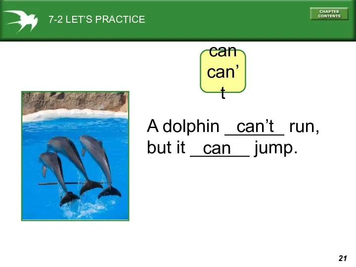 7-2 LET’S PRACTICE can can’t A dolphin ______ run, but it ______ jump. can’t can