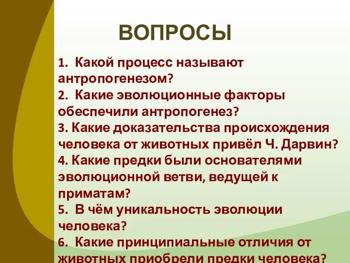 ВОПРОСЫ 1. Какой процесс называют антропогенезом? 2. Какие эволюционные факторы