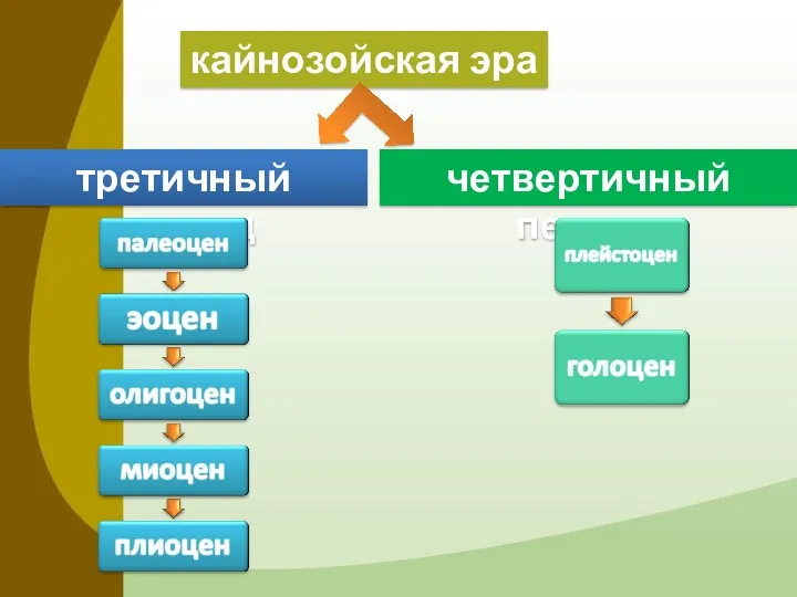 кайнозойская эра третичный период четвертичный период