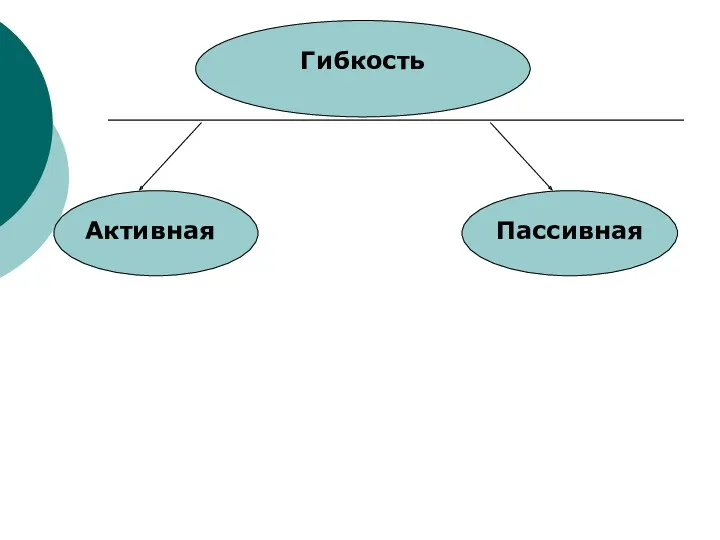 Гибкость Активная Пассивная