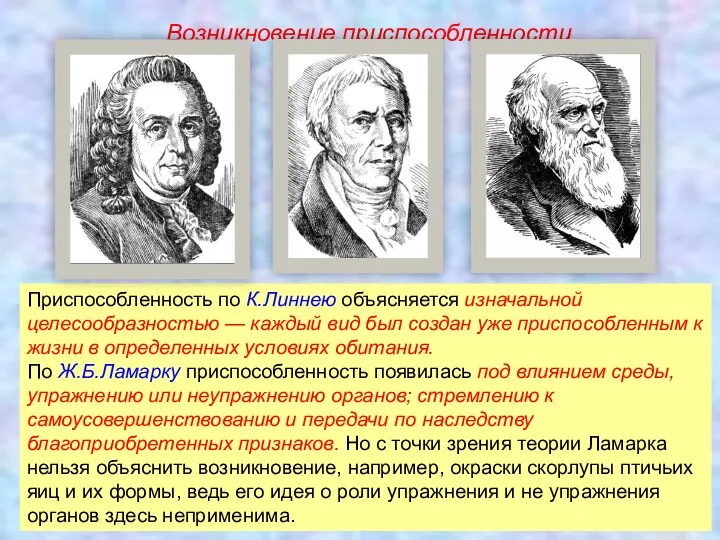 Приспособленность по К.Линнею объясняется изначальной целесообразностью — каждый вид был