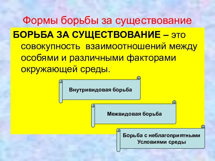 Формы борьбы за существование БОРЬБА ЗА СУЩЕСТВОВАНИЕ – это совокупность