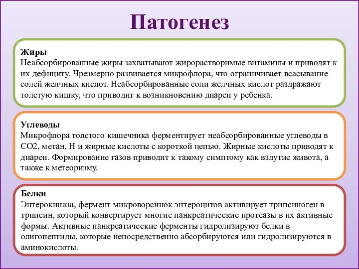 Патогенез Жиры Неабсорбированные жиры захватывают жирорастворимые витамины и приводят к