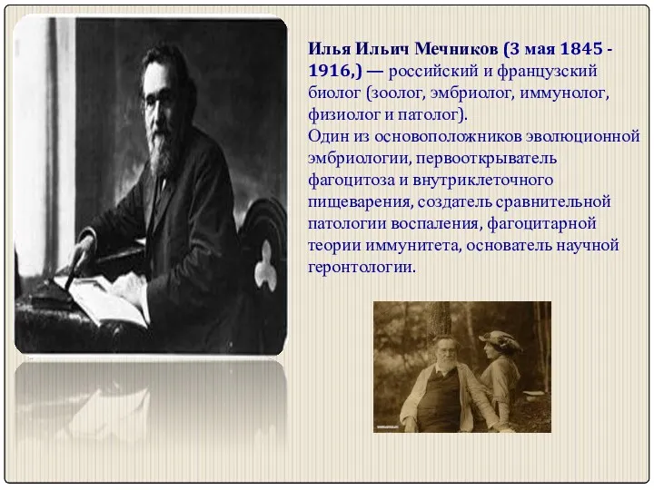 Илья Ильич Мечников (3 мая 1845 - 1916,) — российский