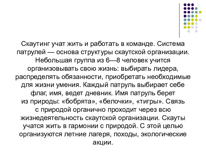 Скаутинг учат жить и работать в команде. Система патрулей —