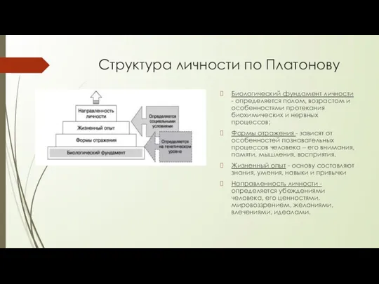 Структура личности по Платонову Биологический фундамент личности - определяется полом,