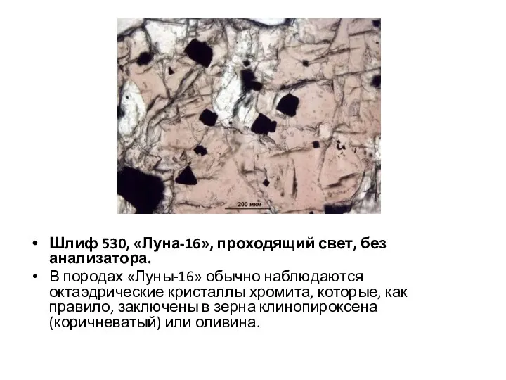 Шлиф 530, «Луна-16», проходящий свет, без анализатора. В породах «Луны-16»