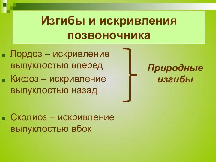 Изгибы и искривления позвоночника Лордоз – искривление выпуклостью вперед Кифоз – искривление выпуклостью