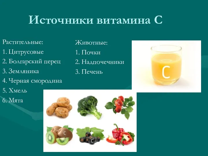Источники витамина С Растительные: 1. Цитрусовые 2. Болгарский перец 3.