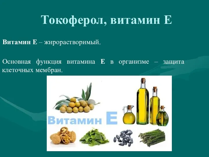 Токоферол, витамин Е Витамин Е – жирорастворимый. Основная функция витамина Е в организме