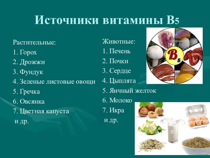 Источники витамины В5 Растительные: 1. Горох 2. Дрожжи 3. Фундук