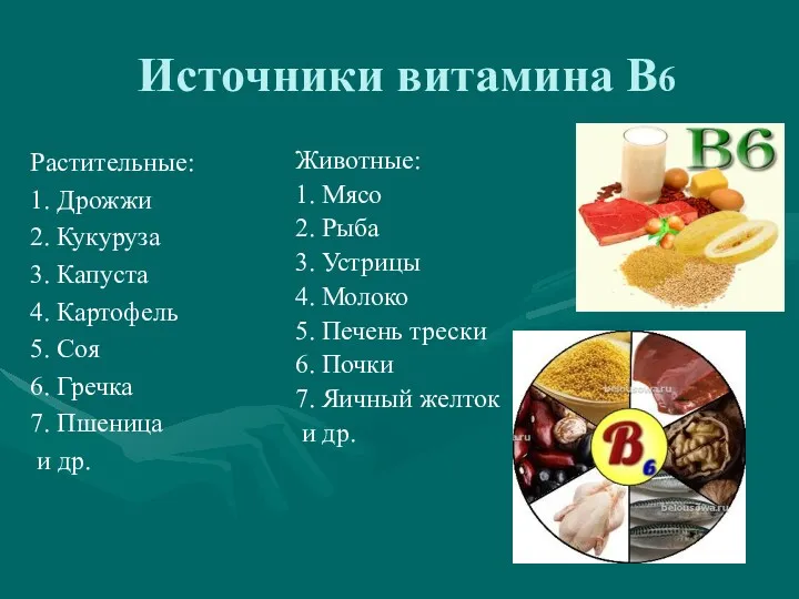Источники витамина В6 Растительные: 1. Дрожжи 2. Кукуруза 3. Капуста 4. Картофель 5.