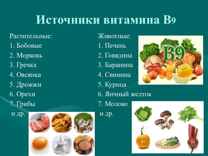 Источники витамина В9 Растительные: 1. Бобовые 2. Морковь 3. Гречка 4. Овсянка 5.