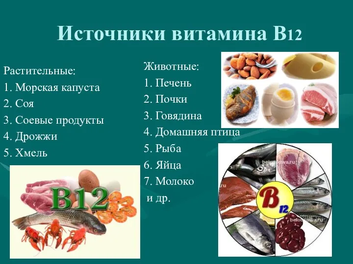 Источники витамина В12 Растительные: 1. Морская капуста 2. Соя 3.