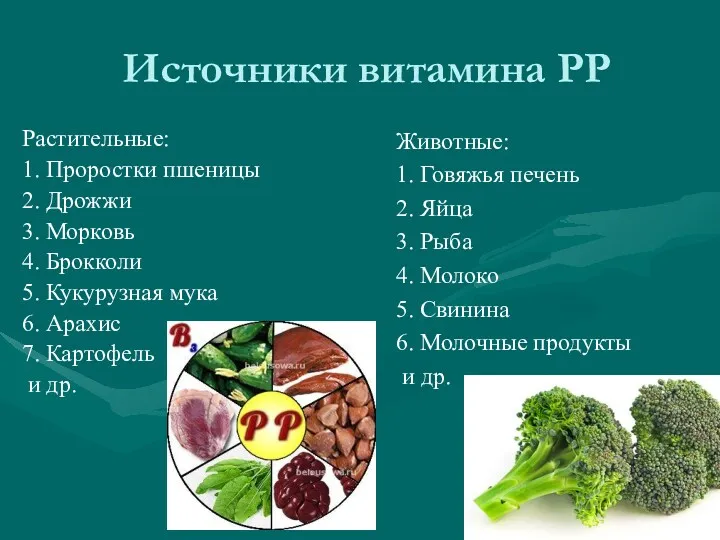 Источники витамина РР Растительные: 1. Проростки пшеницы 2. Дрожжи 3. Морковь 4. Брокколи