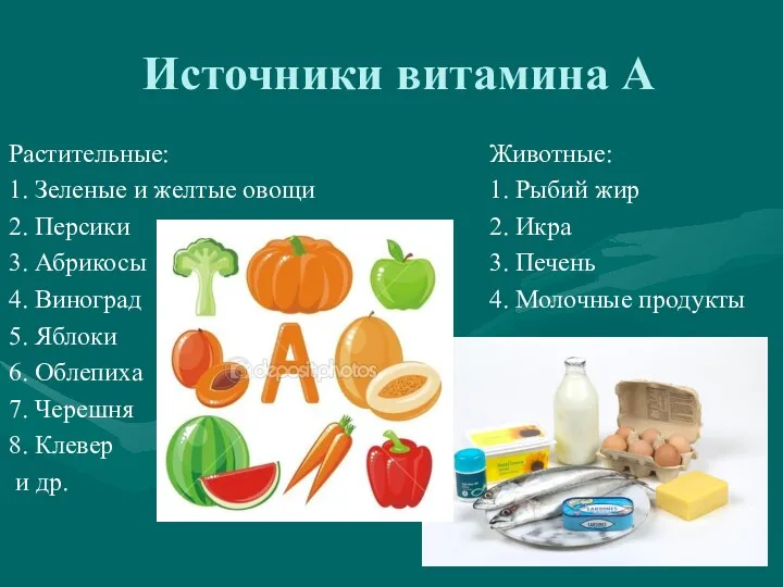 Источники витамина А Растительные: 1. Зеленые и желтые овощи 2.