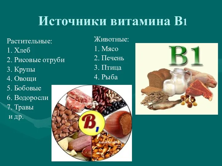 Источники витамина В1 Растительные: 1. Хлеб 2. Рисовые отруби 3. Крупы 4. Овощи