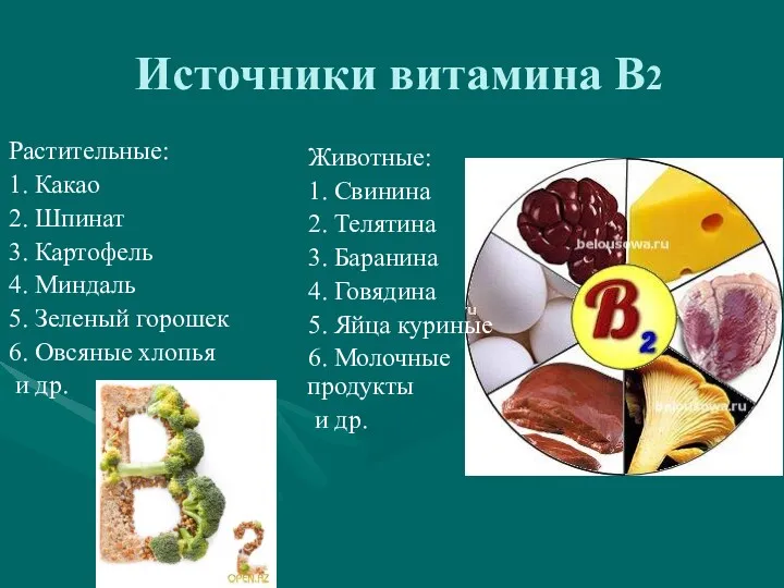 Источники витамина В2 Растительные: 1. Какао 2. Шпинат 3. Картофель