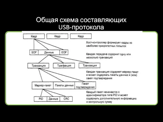 Общая схема составляющих USB-протокола