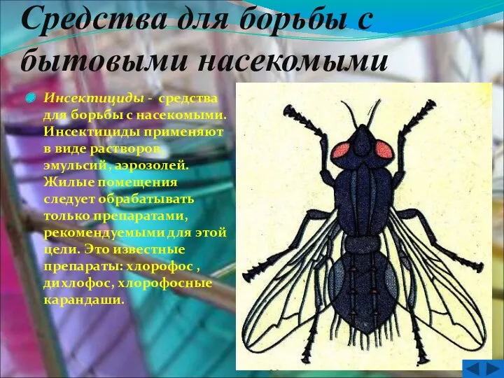 Средства для борьбы с бытовыми насекомыми Инсектициды - средства для борьбы с насекомыми.