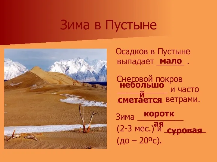 Зима в Пустыне Осадков в Пустыне выпадает ______ . Снеговой