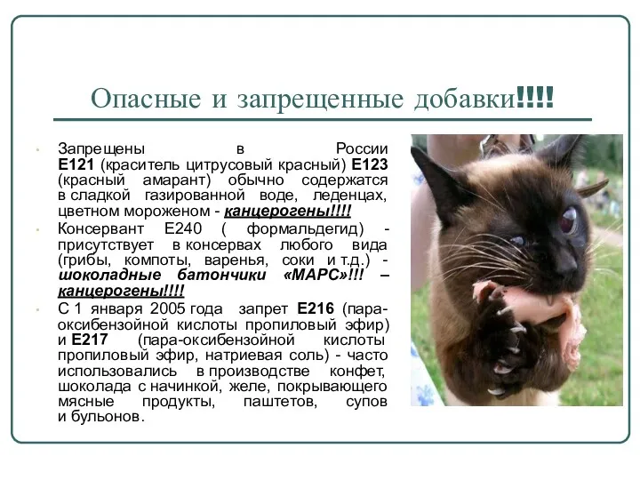 Опасные и запрещенные добавки!!!! Запрещены в России E121 (краситель цитрусовый