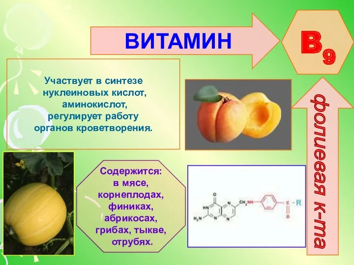 ВИТАМИН B9 фолиевая к-та Участвует в синтезе нуклеиновых кислот, аминокислот,