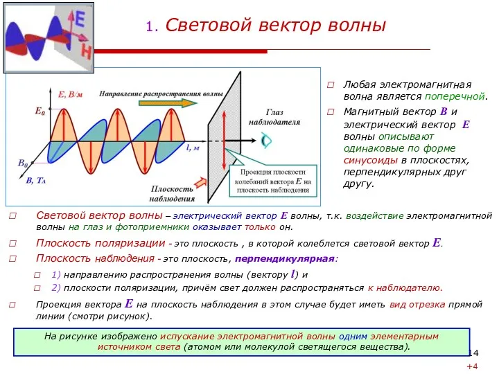 1. Световой вектор волны Любая электромагнитная волна является поперечной. Магнитный