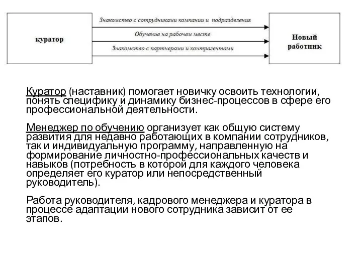 Куратор (наставник) помогает новичку освоить технологии, понять специфику и динамику