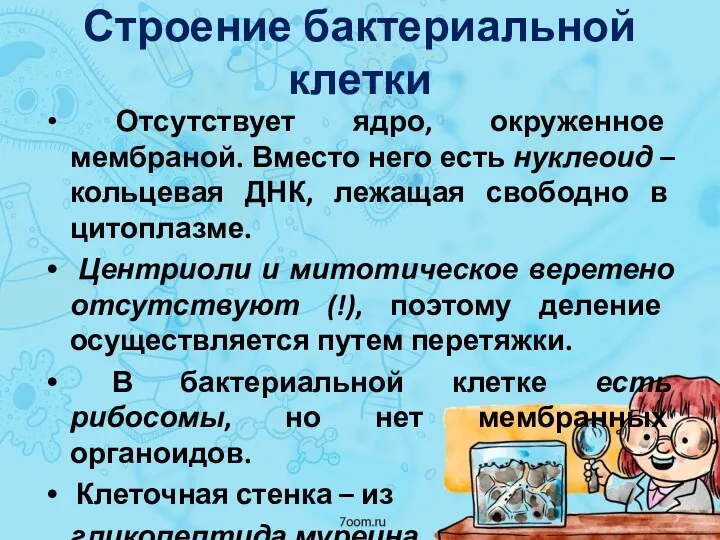 Строение бактериальной клетки Отсутствует ядро, окруженное мембраной. Вместо него есть