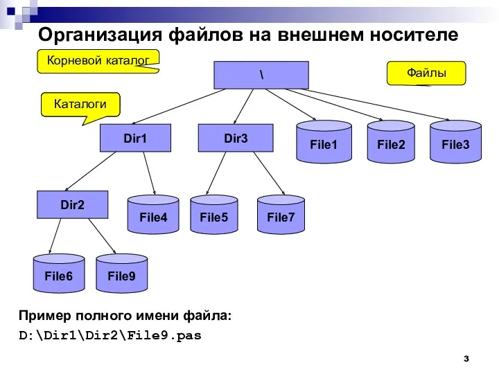 Организация файлов на внешнем носителе Пример полного имени файла: D:\Dir1\Dir2\File9.pas