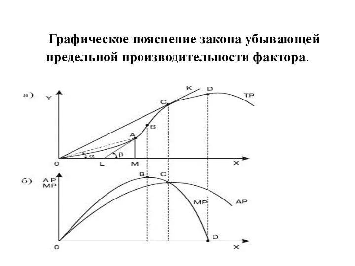 Графическое пояснение закона убывающей предельной производительности фактора.