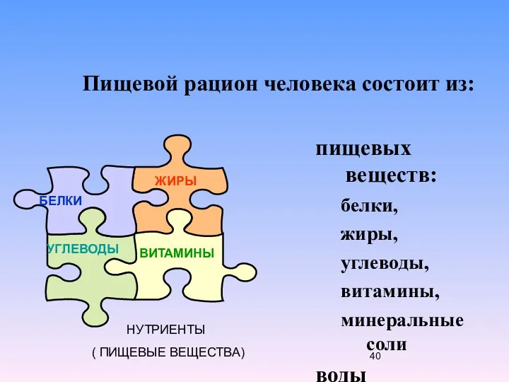 БЕЛКИ ЖИРЫ УГЛЕВОДЫ ВИТАМИНЫ Пищевой рацион человека состоит из: НУТРИЕНТЫ