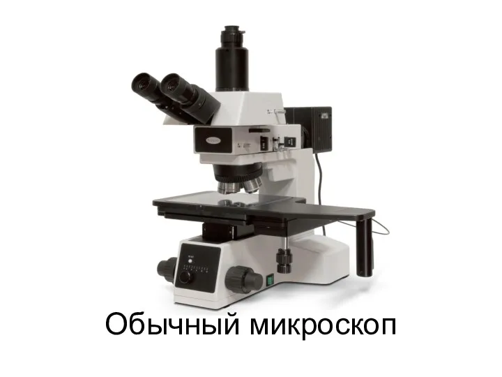 Обычный микроскоп