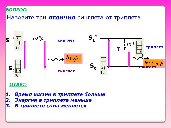 Назовите три отличия синглета от триплета ВОПРОС: синглет S0 S1*