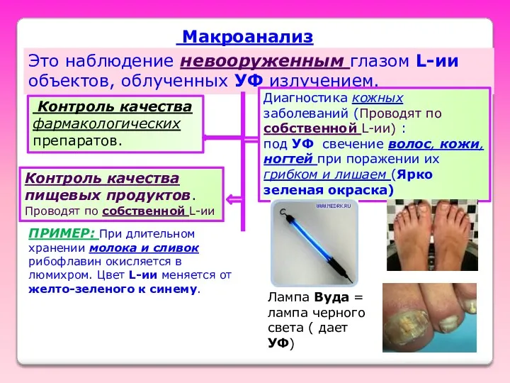 Макроанализ Это наблюдение невооруженным глазом L-ии объектов, облученных УФ излучением.