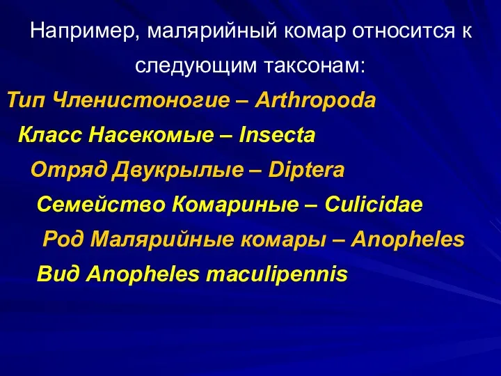Например, малярийный комар относится к следующим таксонам: Тип Членистоногие – Arthropoda Класс Насекомые