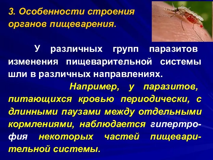 3. Особенности строения органов пищеварения. У различных групп паразитов изменения