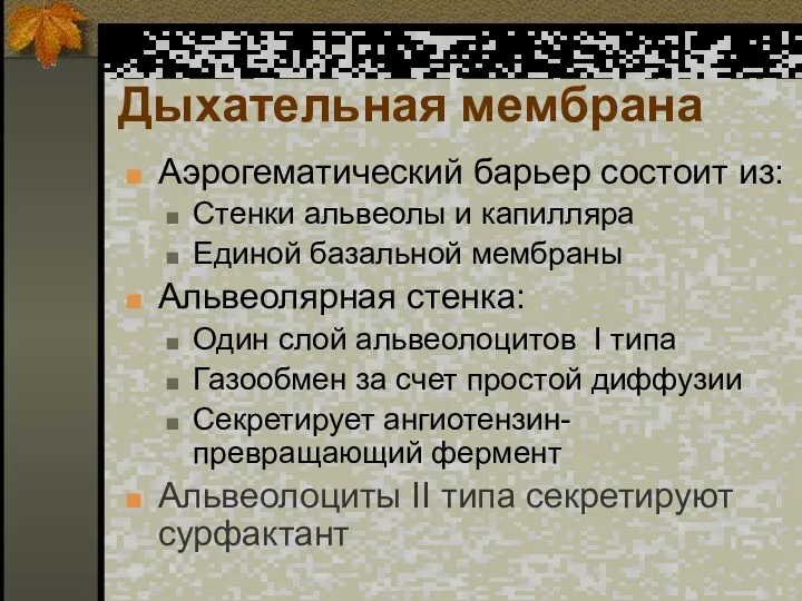 Дыхательная мембрана Аэрогематический барьер состоит из: Стенки альвеолы и капилляра