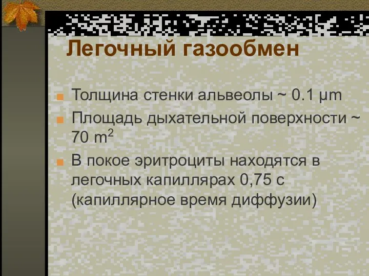 Легочный газообмен Толщина стенки альвеолы ~ 0.1 µm Площадь дыхательной