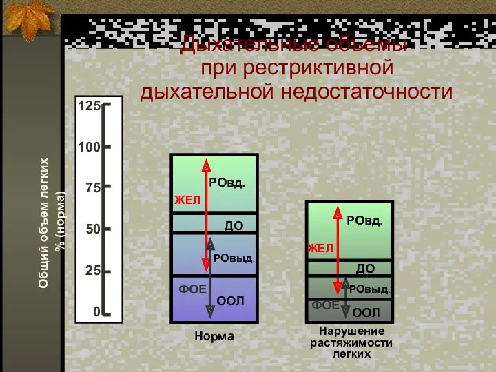 Дыхательные объемы при рестриктивной дыхательной недостаточности Общий объем легких % (норма) Норма Нарушение растяжимости легких