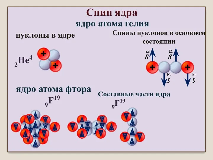 Спин ядра нуклоны в ядре ядро атома гелия Спины нуклонов