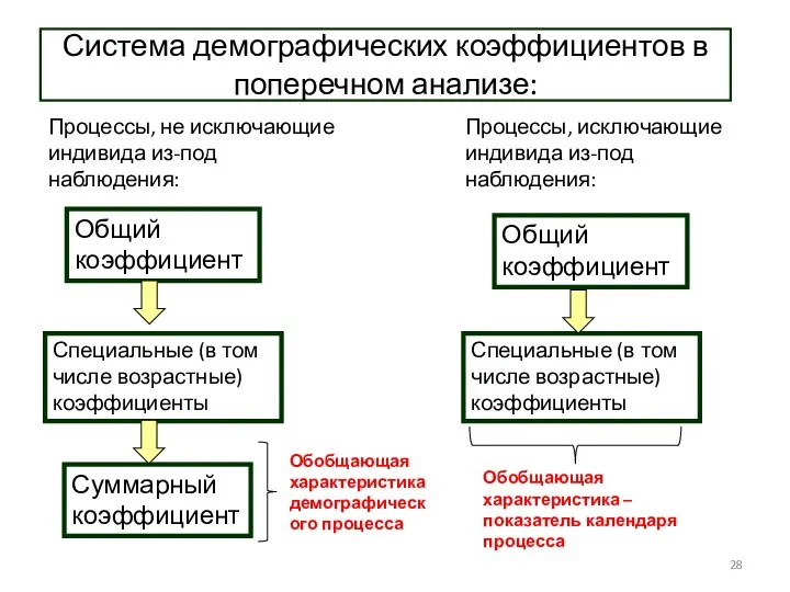 Система демографических коэффициентов в поперечном анализе: Процессы, не исключающие индивида