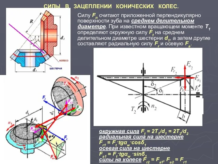 СИЛЫ В ЗАЦЕПЛЕНИИ КОНИЧЕСКИХ КОЛЕС. Силу Fn считают приложенной перпендикулярно