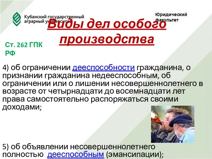 Виды дел особого производства Ст. 262 ГПК РФ 4) об