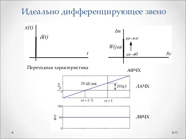 Идеально дифференцирующее звено Переходная характеристика АФЧХ ЛАЧХ ЛФЧХ