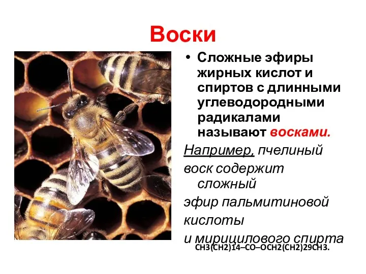 Воски Сложные эфиры жирных кислот и спиртов с длинными углеводородными