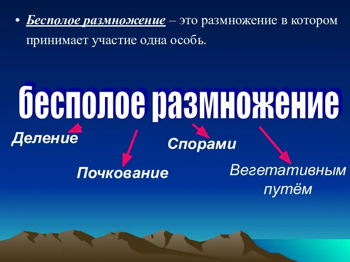 Бесполое размножение – это размножение в котором принимает участие одна