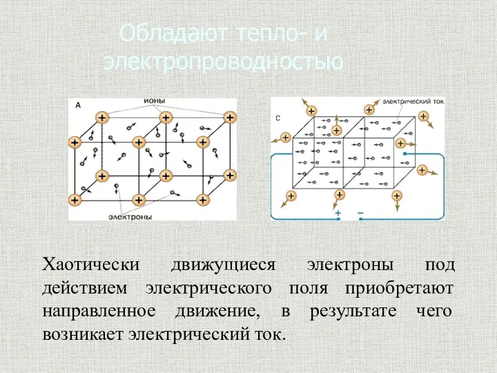 Обладают тепло- и электропроводностью Хаотически движущиеся электроны под действием электрического